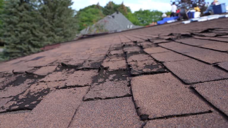 Best Solar Panel Roofing Installation  in Marshall, MI